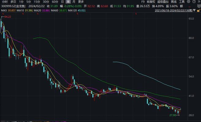 金龍魚最新市值（金龍魚最新市值為100億美元） 龍魚百科 第3張