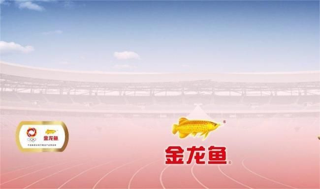 金龍魚最新市值（金龍魚最新市值為100億美元） 龍魚百科 第2張