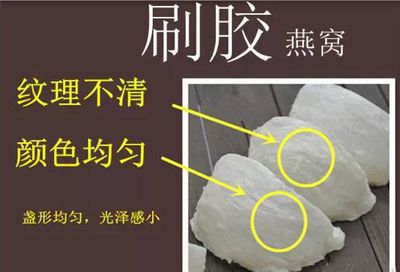 辨別燕窩真假的綜合方法（燕窩真?zhèn)舞b別） 馬來西亞燕窩 第1張