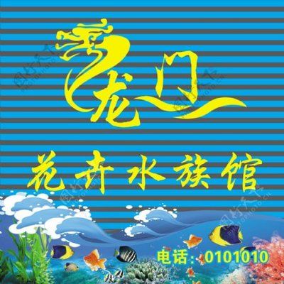 水族館門頭設(shè)計(jì)圖片（關(guān)于水族館門頭設(shè)計(jì)圖片的網(wǎng)站推薦） 水族館百科（水族館加盟） 第5張