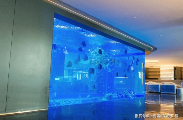 水族館魚缸定制（水族館魚缸定制是針對特定需求和空間進行個性化服務(wù)） 水族館百科（水族館加盟） 第5張