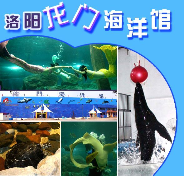 水族館里一般都有什么魚（水族館的魚類種類） 水族館百科（水族館加盟） 第5張