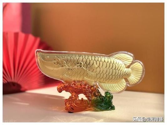 金龍魚(yú)鑒別真假的方法（如何辨別金龍魚(yú)油的真?zhèn)危? title=