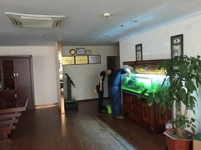 水族館去哪里拿貨好（邯鄲觀賞魚市場進貨攻略邯鄲觀賞魚市場進貨攻略） 水族館百科（水族館加盟） 第5張