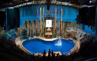 開一家水族館需要準備什么東西（開一家水族館需要準備什么？）