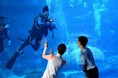 開個水族館要辦什么執(zhí)照（開水族館需辦理哪些證件）