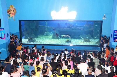 祥龍水族館親子活動時間表（祥龍水族館親子活動時間表相關(guān)內(nèi)容） 水族館百科（水族館加盟） 第1張