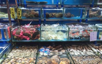 開個水族館賺錢嗎現(xiàn)在怎么樣了（開一家水族館的盈利狀況）