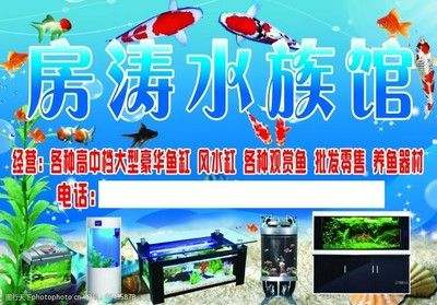 水族館常賣的魚（水族館常賣的魚類）