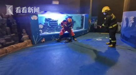 水族館服務(wù)員累嗎（水族館服務(wù)員的職業(yè)晉升路徑） 水族館百科（水族館加盟） 第4張