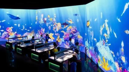 水族館里有什么東西（水族館是一個展示多種海洋生物的場所） 水族館百科（水族館加盟） 第4張