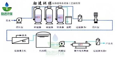 銀龍魚(yú)不想養(yǎng)了怎么處理（如何處理不想養(yǎng)的銀龍魚(yú)？） 水族問(wèn)答 第2張