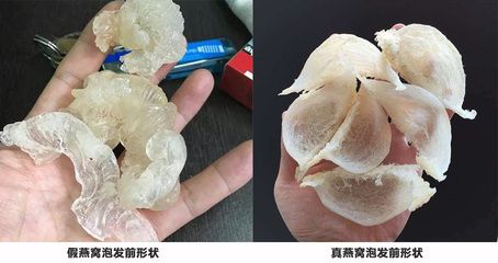 燕窩泡發(fā)后鑒別技巧（如何辨別燕窩的天然色澤） 馬來西亞燕窩 第1張