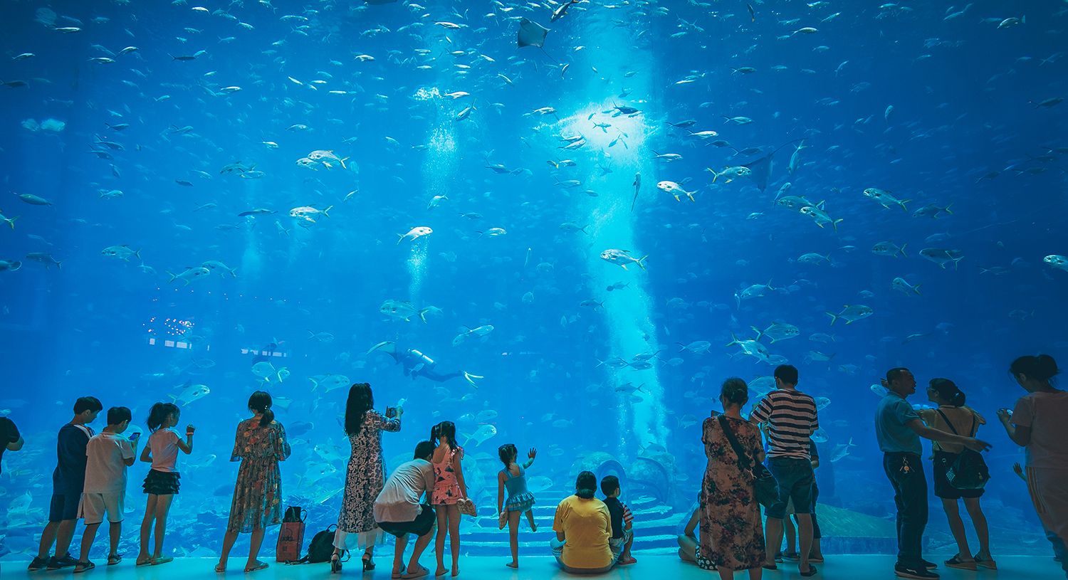 海南的水族館哪個(gè)好玩（三亞亞特蘭蒂斯水族館門票價(jià)格）