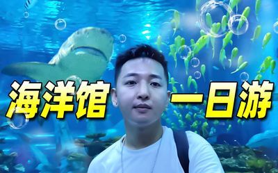 水族館vlog（水族館vlog拍攝技巧分享水族館vlog熱門話題） 水族館百科（水族館加盟） 第3張