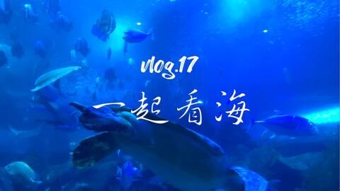 水族館vlog（水族館vlog拍攝技巧分享水族館vlog熱門話題） 水族館百科（水族館加盟） 第5張