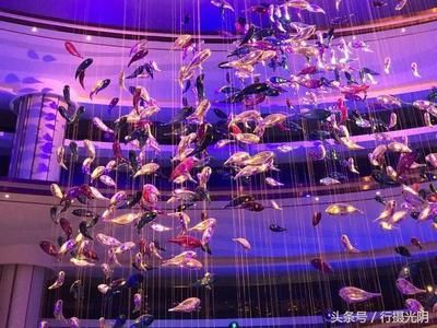 開一個水族館需要什么手續(xù)（開設(shè)一個水族館所需的手續(xù)） 水族館百科（水族館加盟） 第3張