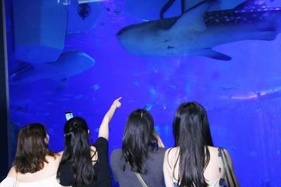 水族館工作人員叫什么（水族館員工的工作內(nèi)容） 水族館百科（水族館加盟） 第5張