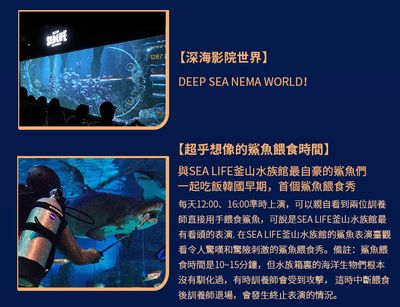 水族館 下載（水族館盈利策略解析：輕松水族館在現(xiàn)代科技和教育背景下的發(fā)展與挑戰(zhàn)） 水族館百科（水族館加盟） 第4張