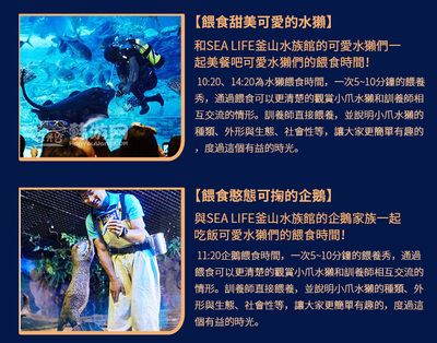 水族館 下載（水族館盈利策略解析：輕松水族館在現(xiàn)代科技和教育背景下的發(fā)展與挑戰(zhàn)） 水族館百科（水族館加盟） 第5張