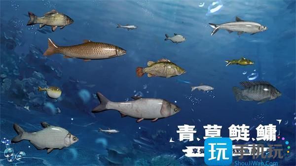 水族館兒童釣魚（水族館兒童釣魚活動(dòng)對(duì)兒童的認(rèn)知發(fā)展的影響）