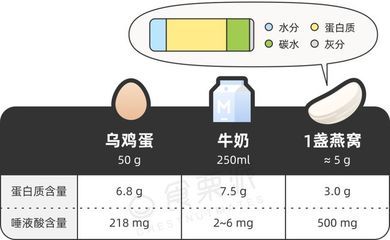 燕窩蛋白質(zhì)含量對(duì)比其他食物（燕窩的營(yíng)養(yǎng)價(jià)值全面解析,燕窩適合哪些人群食用？） 馬來(lái)西亞燕窩 第6張