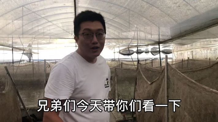 杭州金龍魚熱帶魚養(yǎng)殖基地地址電話號碼（杭州金龍魚熱帶魚養(yǎng)殖基地地址電話號碼查詢） 龍魚百科 第2張