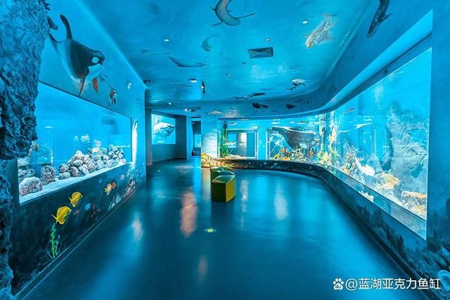 水族館建造費(fèi)用標(biāo)準(zhǔn)文件（關(guān)于水族館建造費(fèi)用標(biāo)準(zhǔn)的詳細(xì)文件） 水族館百科（水族館加盟） 第4張