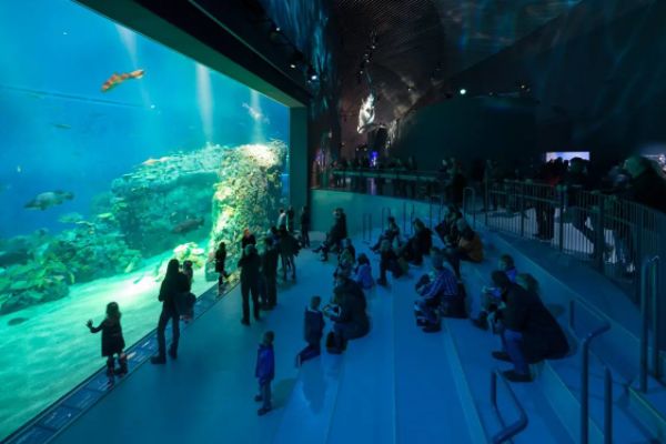 水族館發(fā)展前景怎么樣（水族館發(fā)展前景如何？）