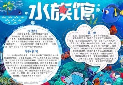 一般水族館都賣些什么魚？（水族館售賣的魚類種類繁多，） 水族館百科（水族館加盟） 第5張