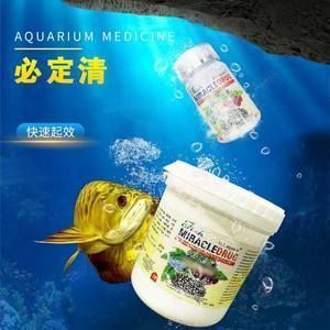 龍魚做檢疫過程中喂食嗎（如何判斷龍魚是否適合喂食） 龍魚百科 第4張