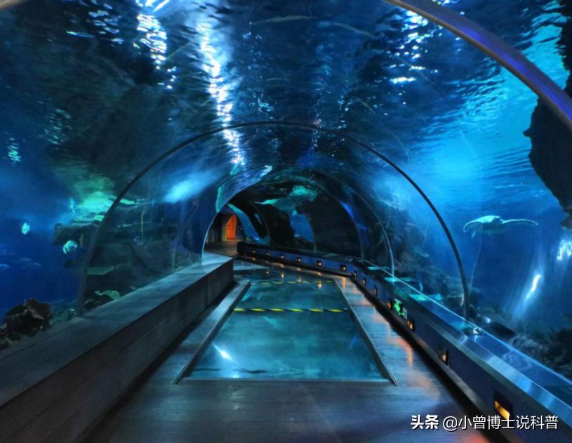 水族館建造費用多少錢一平方（水族館建造費用具體多少錢一平方） 水族館百科（水族館加盟） 第4張