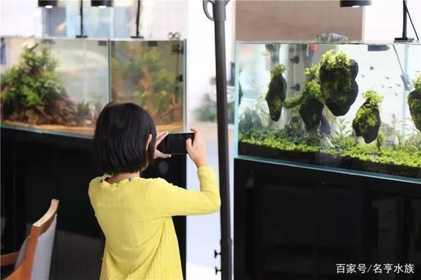 開家水族館利潤怎么樣啊多少錢（開家水族館的利潤和成本取決于多個因素取決于多個因素） 水族館百科（水族館加盟） 第5張