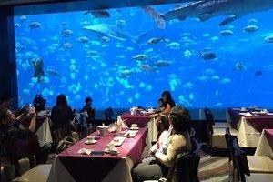 水族館餐廳（上海海洋水族館）