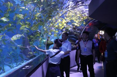 開水族館需要辦什么證件嗎現(xiàn)在（開設(shè)水族館所需的證件及其辦理流程）