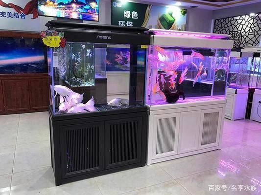 開一家水族館能掙錢嗎現(xiàn)在（開一家水族館是否能掙錢取決于多種因素提供個性化服務） 水族館百科（水族館加盟） 第1張