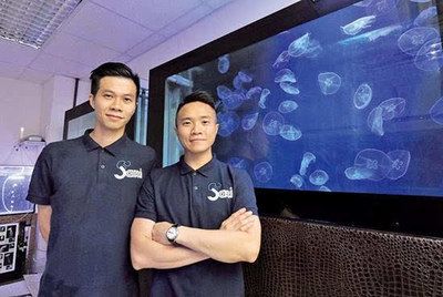 想開個水族館需要多少錢呢（開一個水族館的成本因地區(qū)、規(guī)模和設施而異,小型水族館需要投資10萬美元）