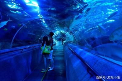 水族館賺錢游戲怎么玩（水族館賺錢游戲怎么玩水族館游戲任務獎勵介紹）