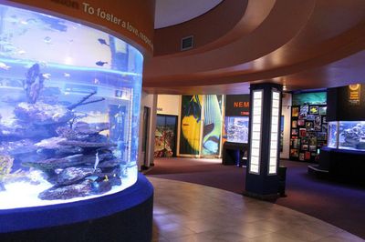 水族館哪里的比較好玩（上海海洋水族館）