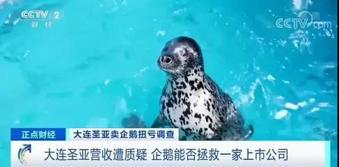 水族館主營業(yè)務(wù)有哪些（水族館主營業(yè)務(wù)） 水族館百科（水族館加盟） 第5張