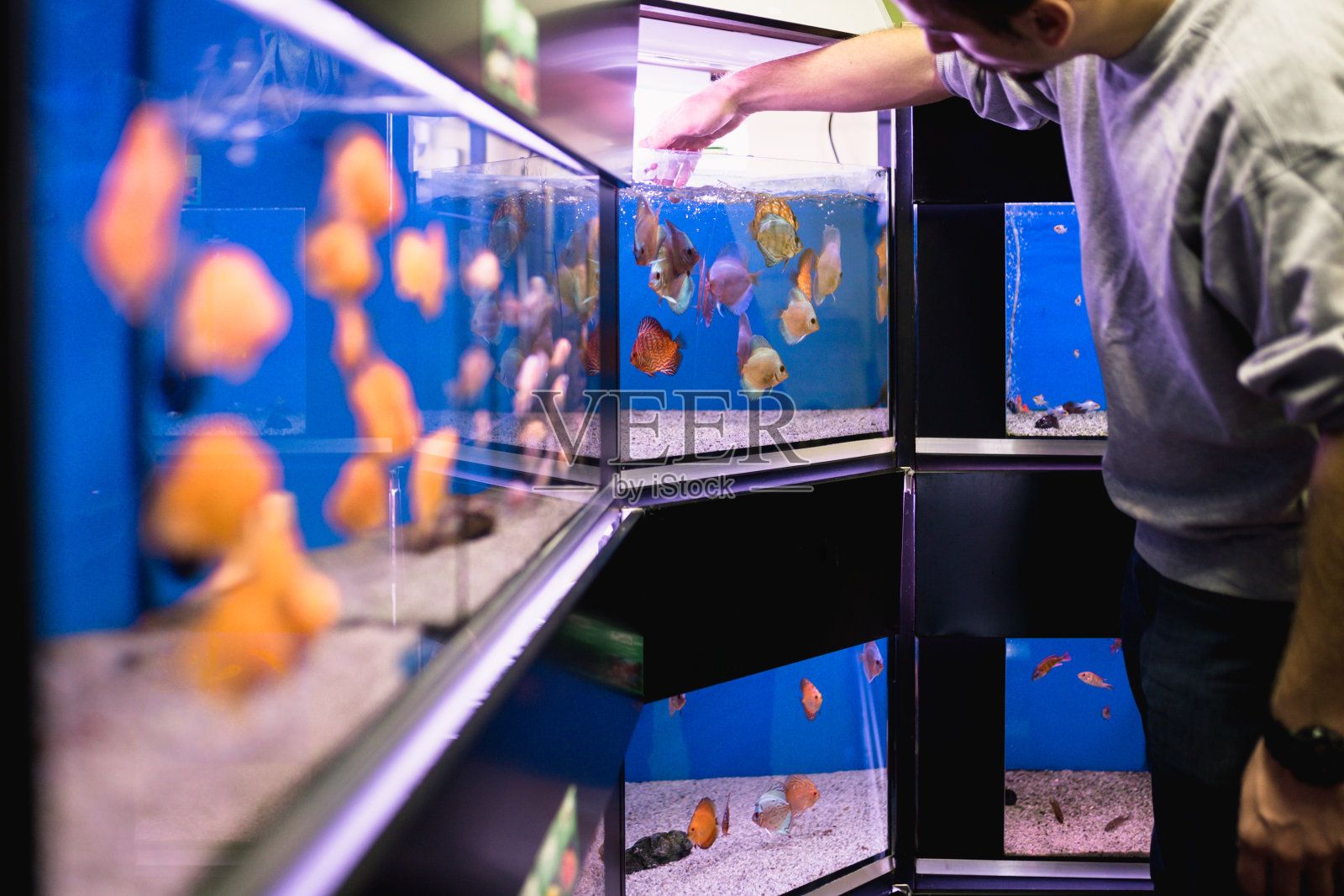 開水族館店（開水族館店的市場前景） 水族館百科（水族館加盟） 第5張