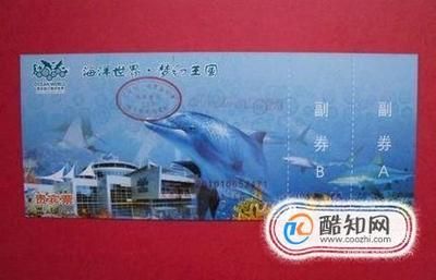 開一家水族館需要些什么證件呢視頻（開一家水族館需要些什么證件呢視頻詳情） 水族館百科（水族館加盟） 第1張