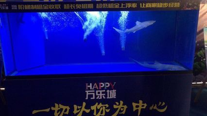 開一家水族館需要些什么證件呢視頻（開一家水族館需要些什么證件呢視頻詳情） 水族館百科（水族館加盟） 第2張