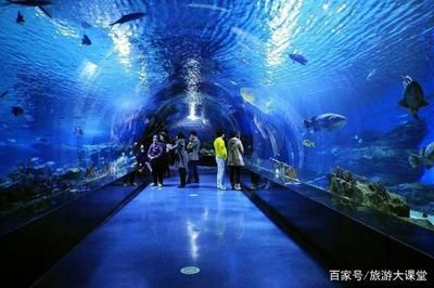 水族館開門了嗎今天（上海水族館今天是否開門）