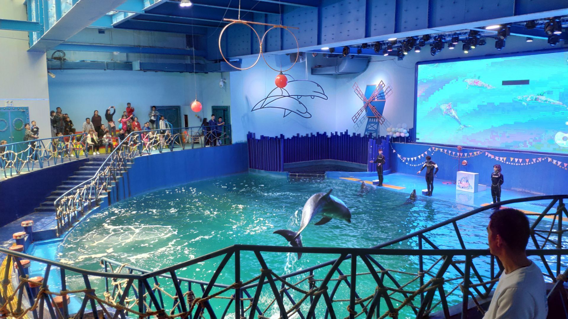 水族館有些什么（上海海洋水族館特色展覽介紹水族館互動(dòng)體驗(yàn)有哪些） 水族館百科（水族館加盟） 第4張