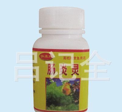 龍魚特效抗菌藥物（龍魚特效抗菌藥物使用誤區(qū)） 龍魚百科 第3張