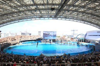 水族館幾點(diǎn)開門（上海海洋水族館周邊住宿推薦上海海洋水族館潛水體驗(yàn)報名）