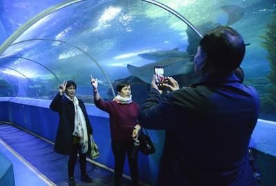 水族館前景發(fā)展趨勢（中國水族館行業(yè)發(fā)展研究分析與發(fā)展趨勢預(yù)測與發(fā)展趨勢） 水族館百科（水族館加盟） 第5張