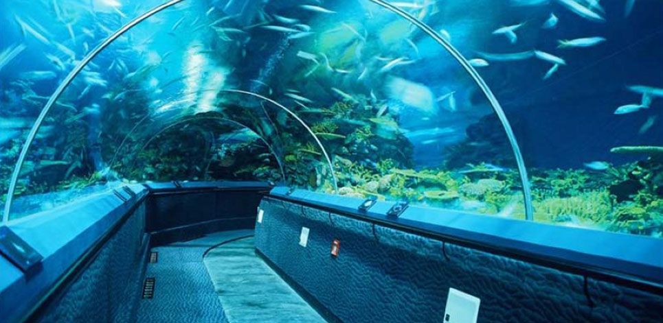 水族館免費開放時間（徐州市水族展覽館2023年免費開放時間詳情）