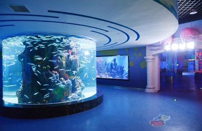 水族館免費開放時間（徐州市水族展覽館2023年免費開放時間詳情）